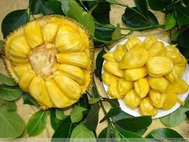 冒牌货 推荐视频