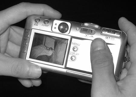 写在大地上的诗 产品图片