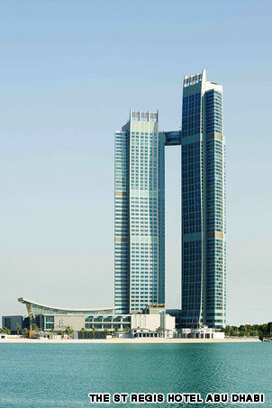 今晚不要让我们去打狗 产品图片