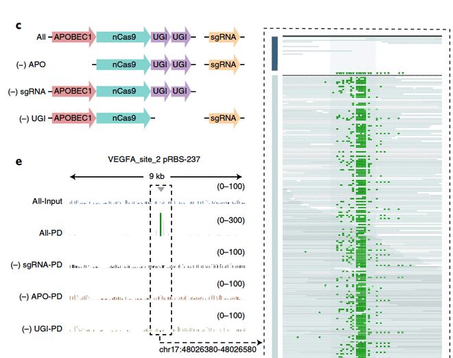 从那不勒斯到纽约 推荐视频
