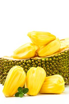 侏罗纪狩猎 推荐视频