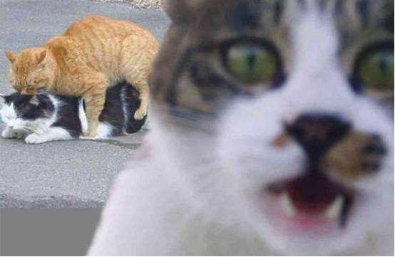 停不了的爱 推荐视频