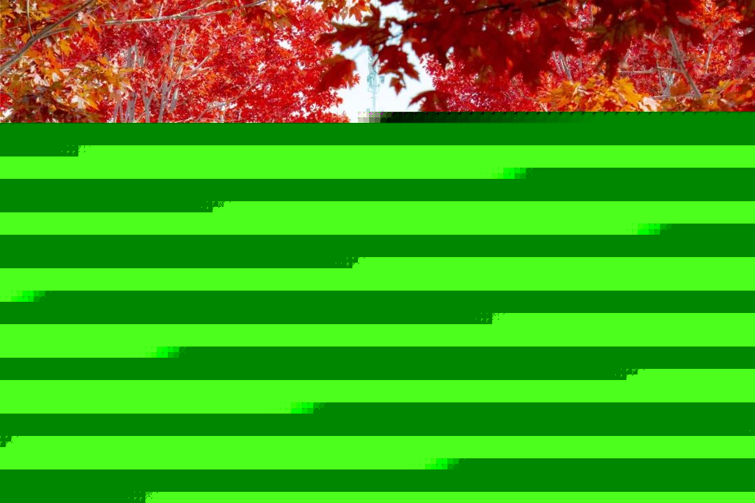 侠骨仁心（国语版） 推荐视频