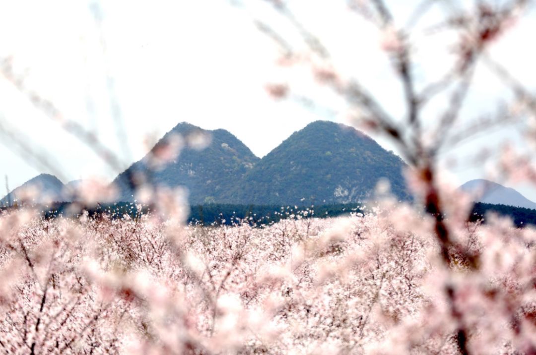 军团孤程 推荐视频