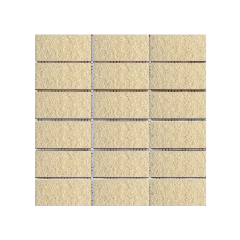 僵尸训练营 产品图片