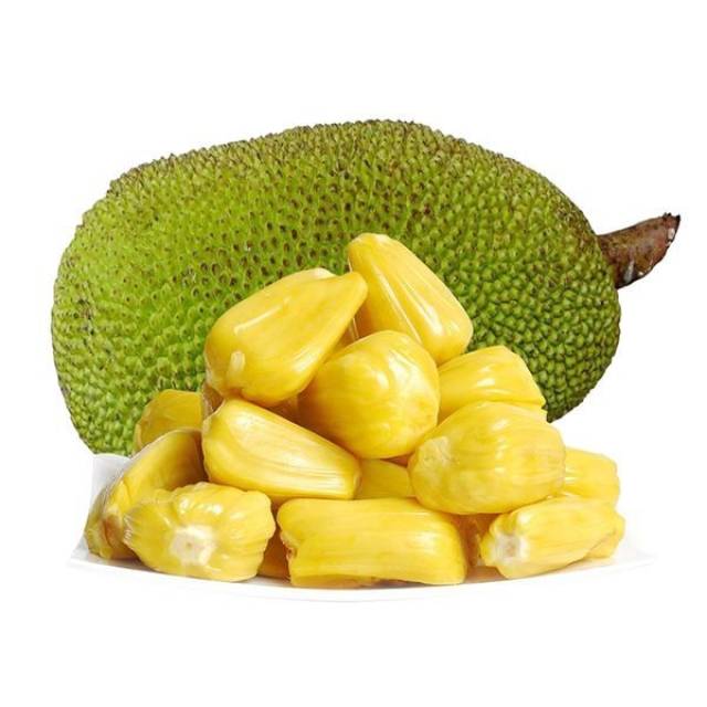 傀儡人 推荐视频