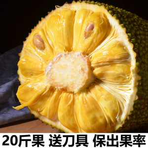 侠盗魅影 推荐视频