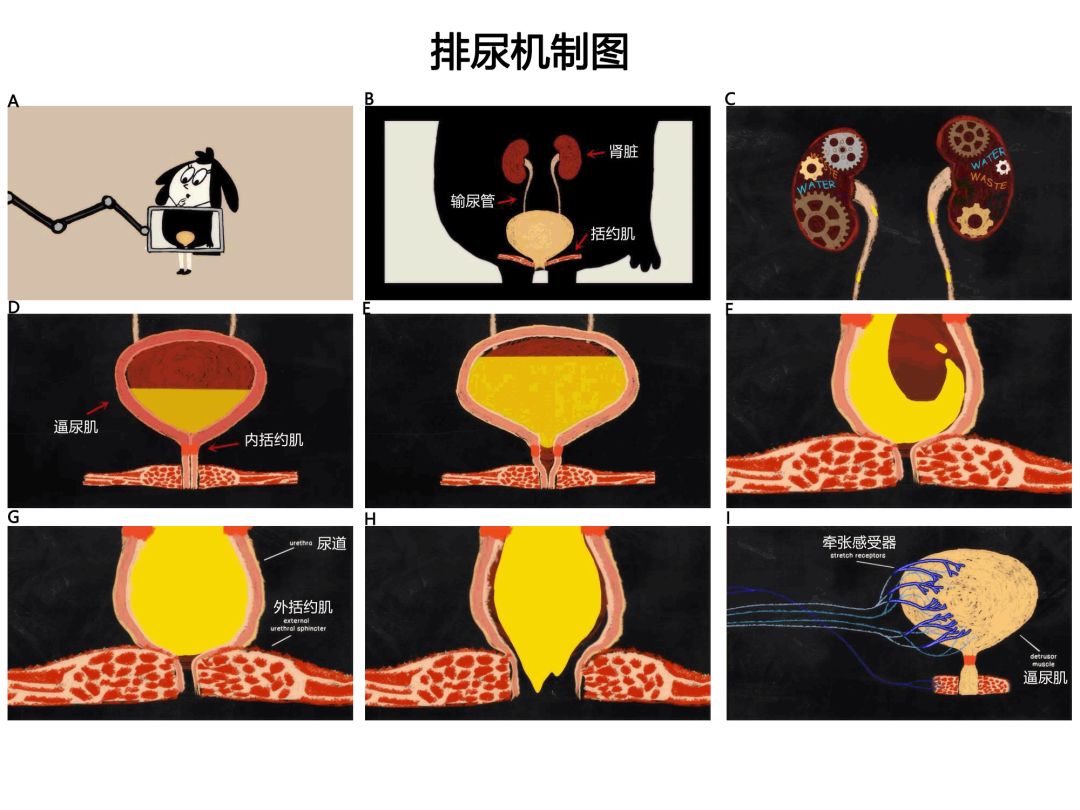 仁慈医院 视频主图