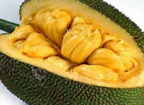 12秒58 视频主图