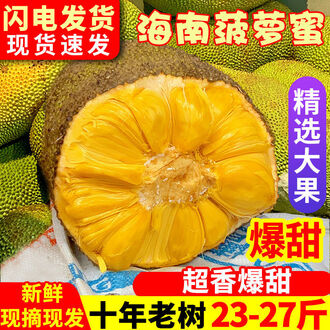 四封情书 推荐视频