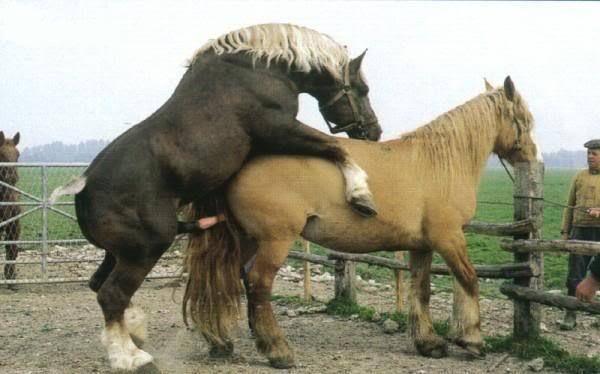 倚天屠龙记之九阳神功（粤语） 推荐视频