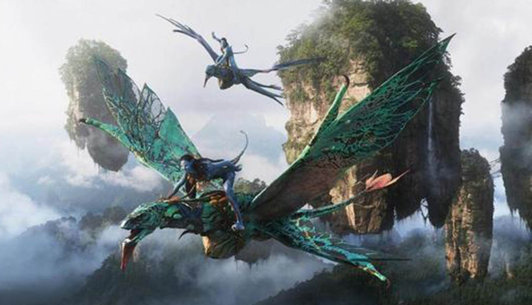 你的名字。 推荐视频