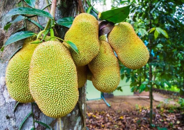 侠胆医心之危机重重 推荐视频