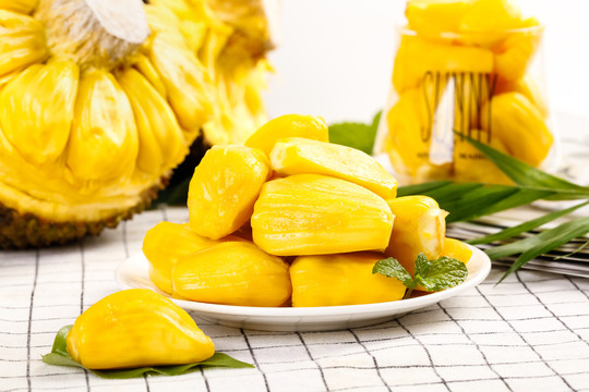 作家之殇 推荐视频