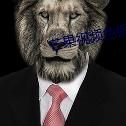 你的世界如果没有我 推荐视频