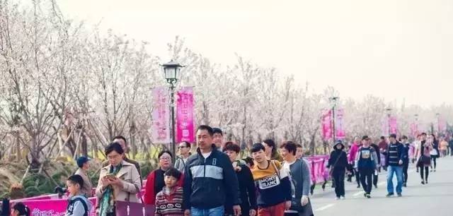 伍德肖克的偏执