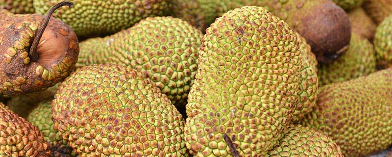 你想活出怎样的人生 推荐视频