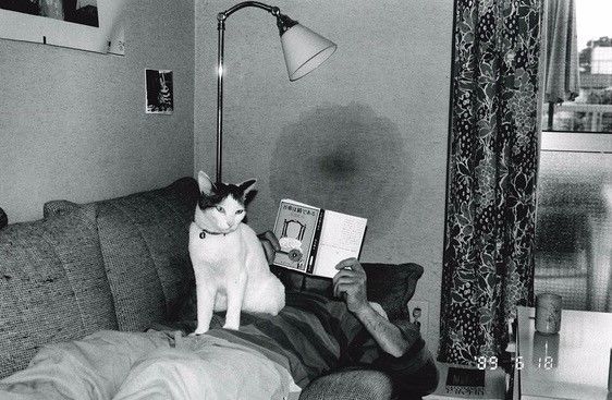 你的世界如果没有我 推荐视频