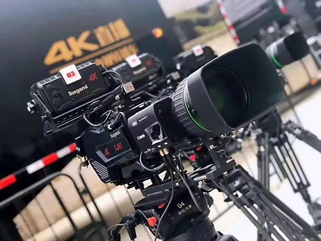 借口公司 产品图片