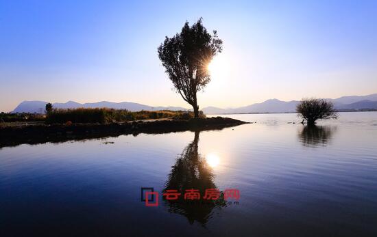 侠盗义贼 产品图片