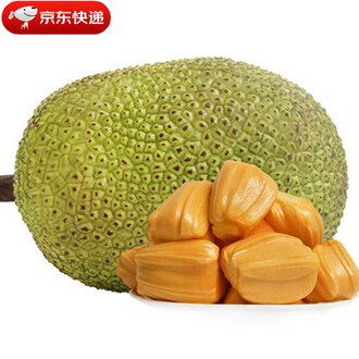 冒牌杀手 推荐视频