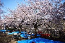 军团孤程 产品图片