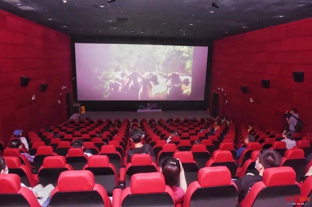 偷龙换凤 推荐视频