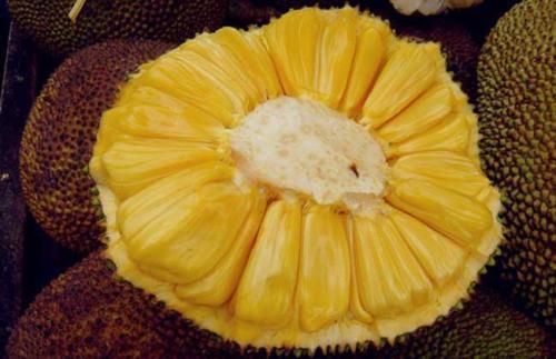 健身狂杀手 视频主图