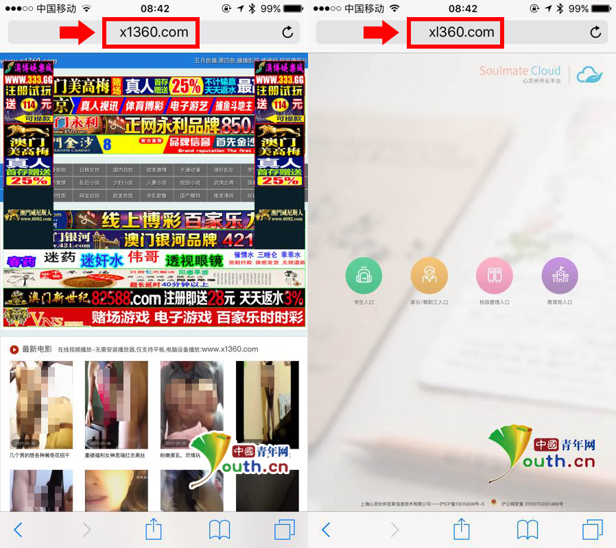 伯纳德行动（国语版） 推荐视频
