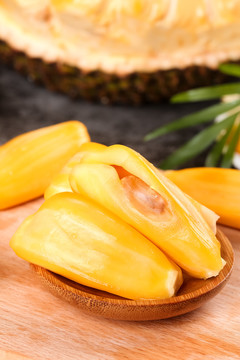 借命人 推荐视频