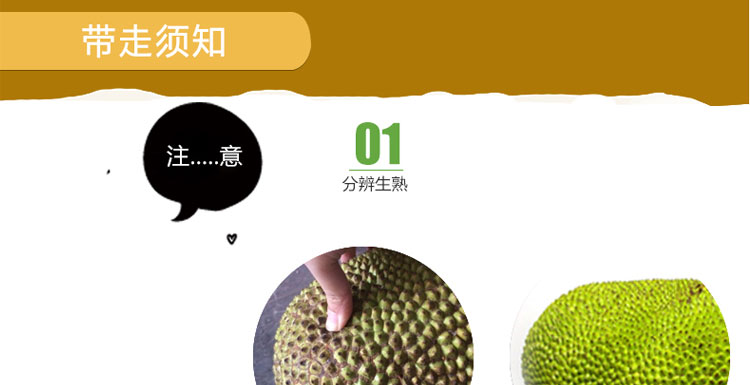 佛都有火 推荐视频