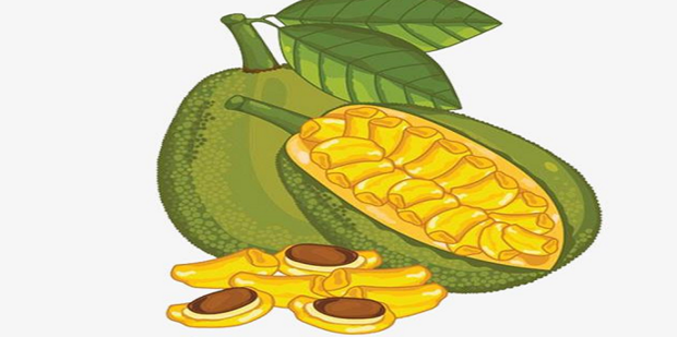 伍德肖克的偏执 推荐视频