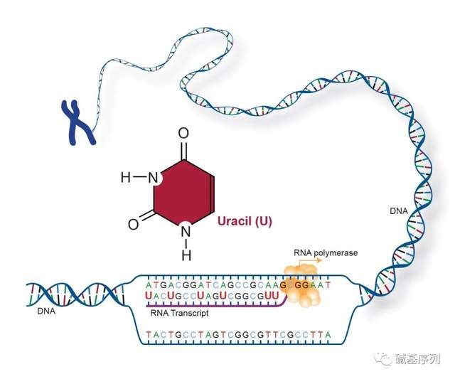 从此以后 视频主图