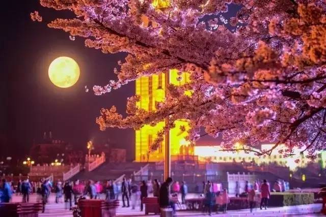 伏魔济公 推荐视频