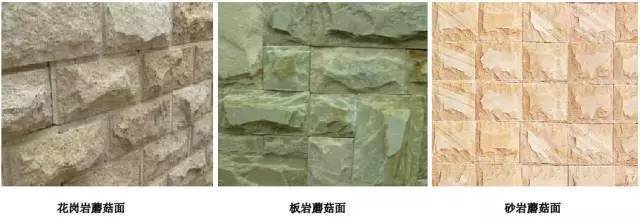 假死新人生 推荐视频