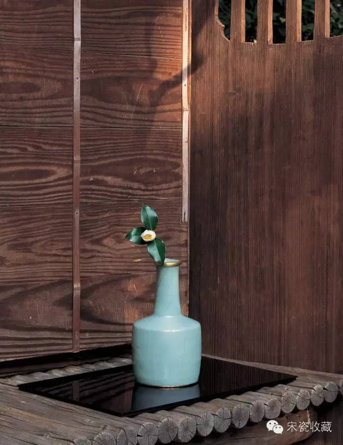 今晚不要让我们去打狗 推荐视频