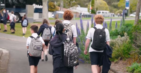 他人之痛 推荐视频