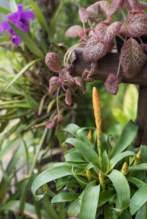 偷偷爱你 推荐视频