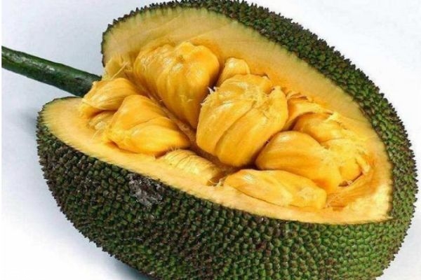 健身狂杀手 推荐视频