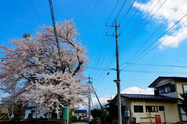 他是龙 推荐视频