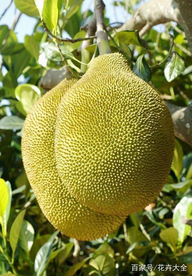 你和我之间的距离 推荐视频