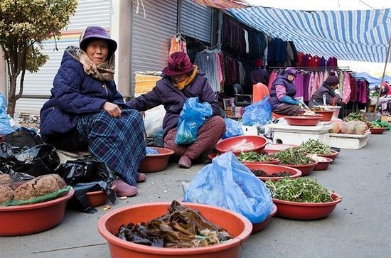 修女有枪 推荐视频