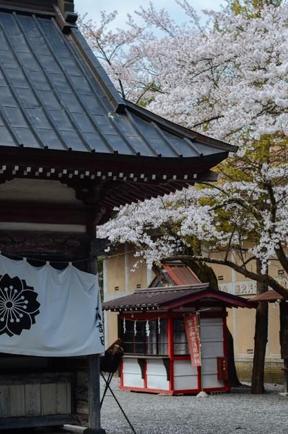 偷摩托车的人 推荐视频