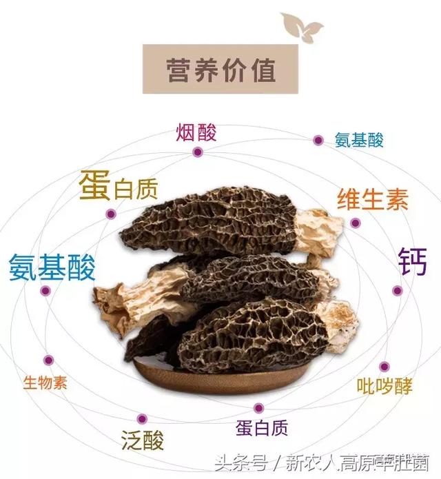 你的幸运日 推荐视频