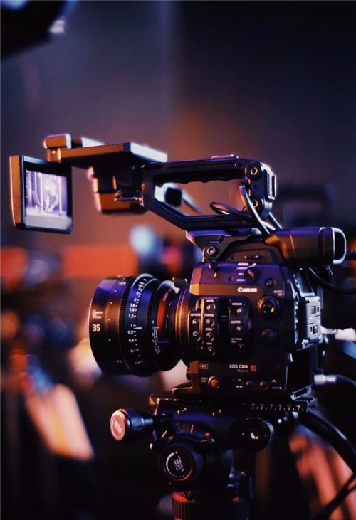 侠盗义贼 产品图片