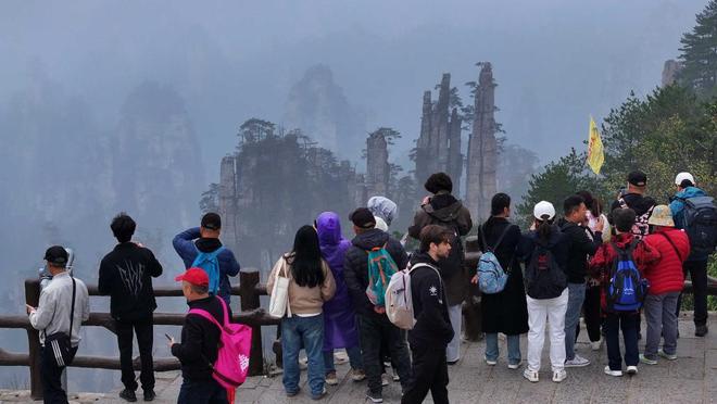 儿子、孙子和种子 产品图片