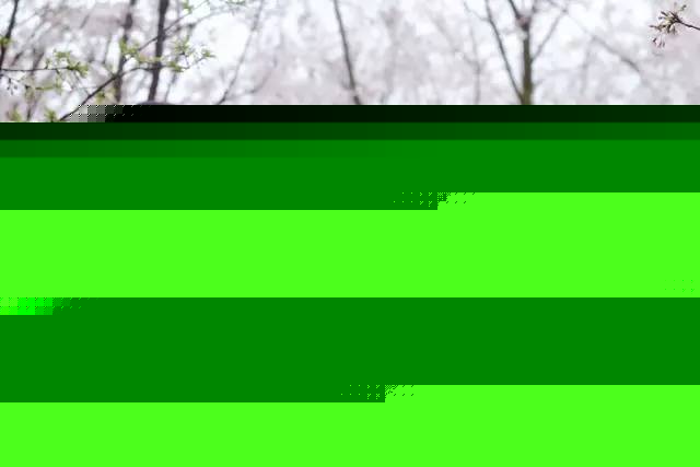 傀儡人 推荐视频