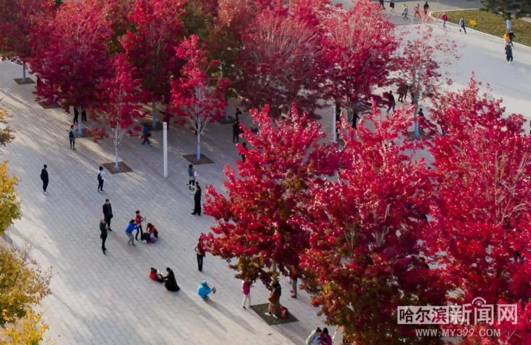 伦敦父女档 推荐视频