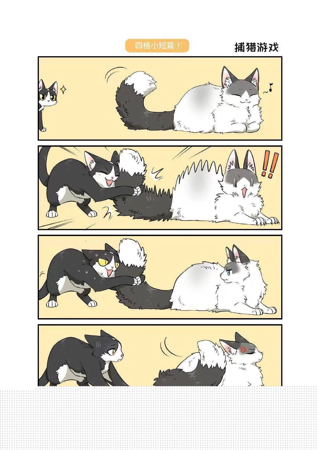 停不了的爱 推荐视频