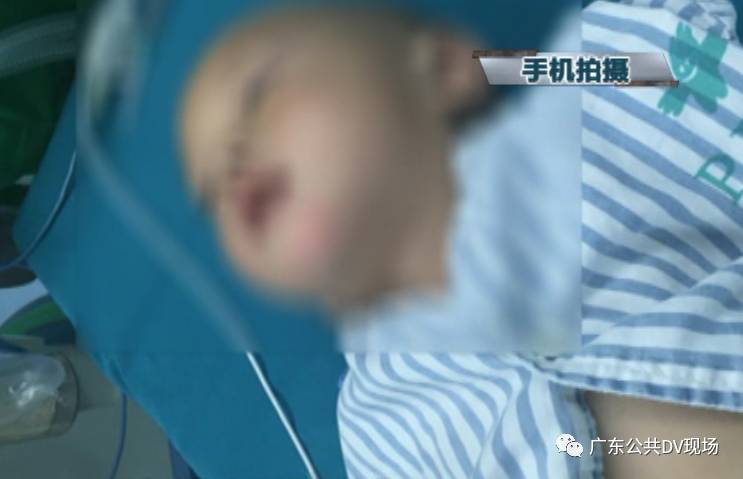 儿子、孙子和种子 产品图片